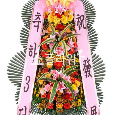 축하3단