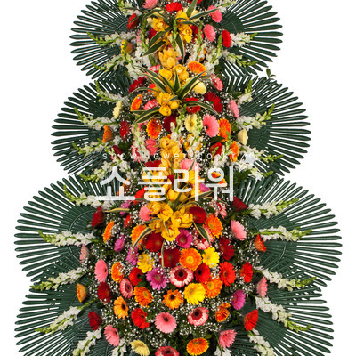 축하3단최고급형