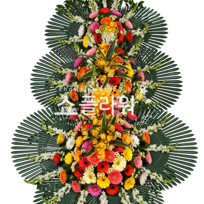 축하3단(축하용)