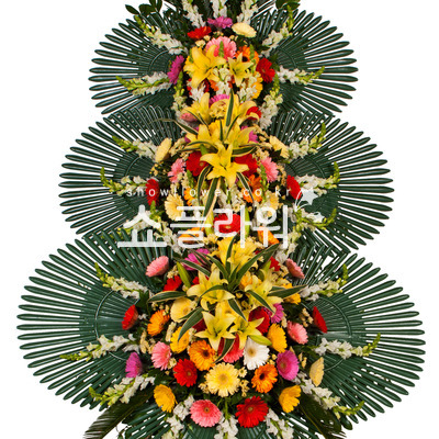 축하3단3