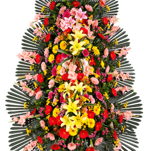 축하화환특품(4번)
