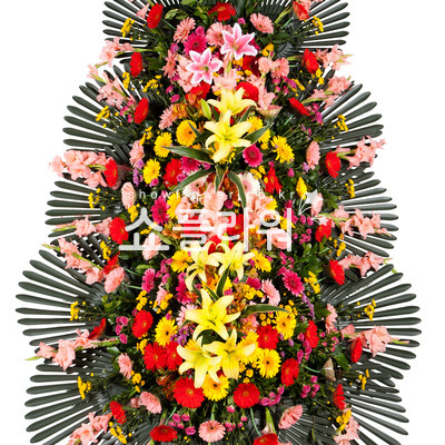 축하화환특품(4번)