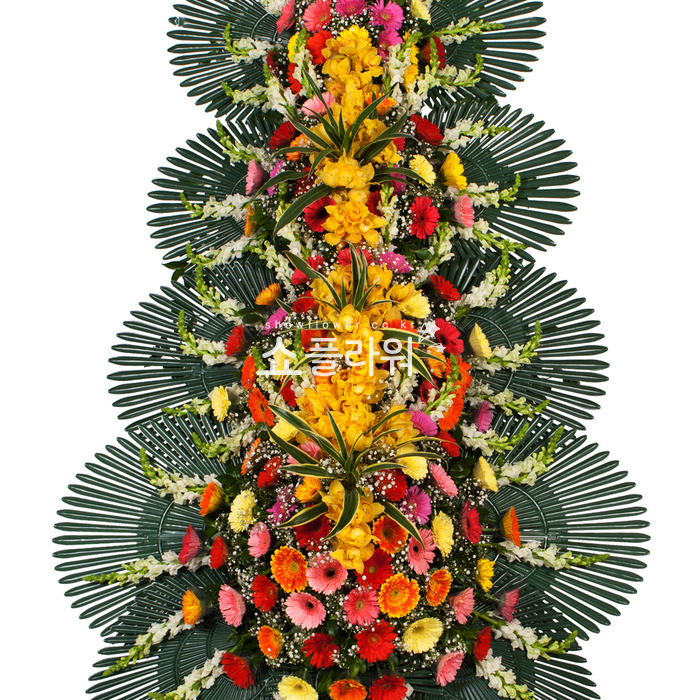 상세이미지