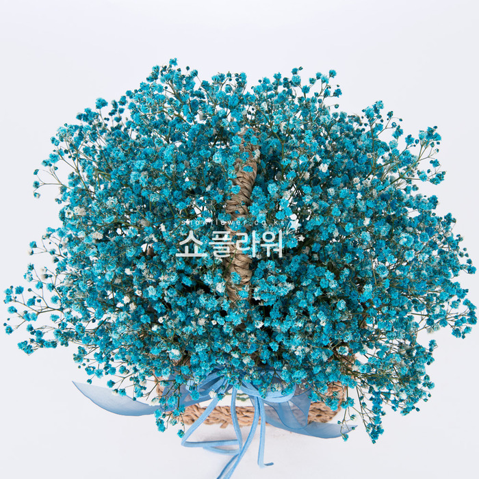 상세이미지