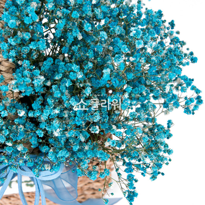 상세이미지