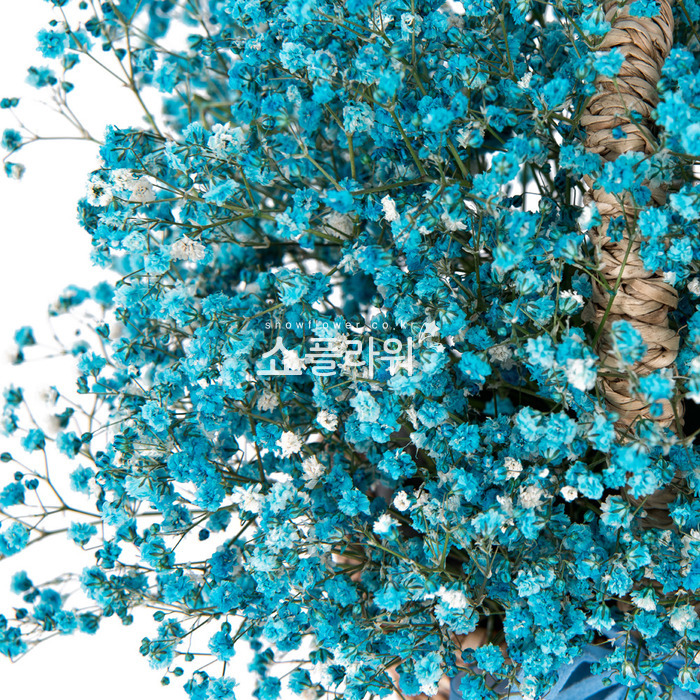 상세이미지