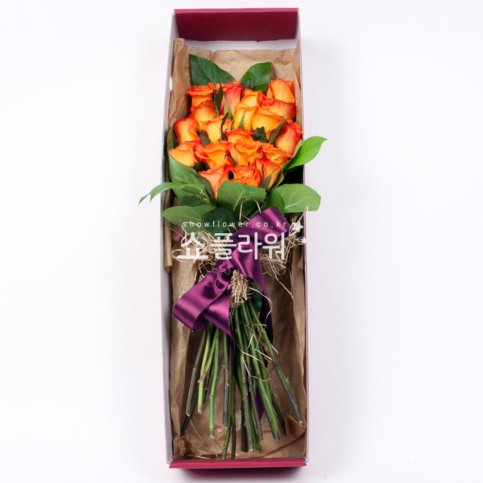 상세이미지