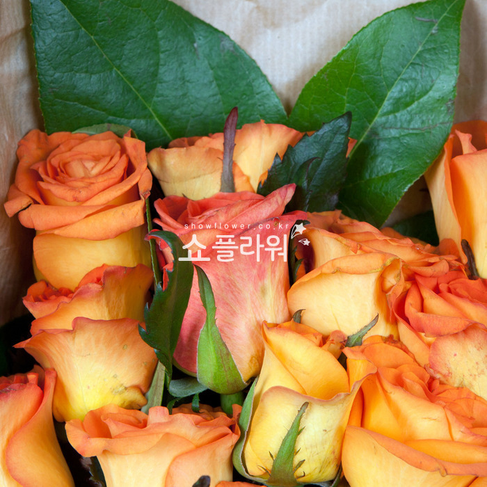 상세이미지