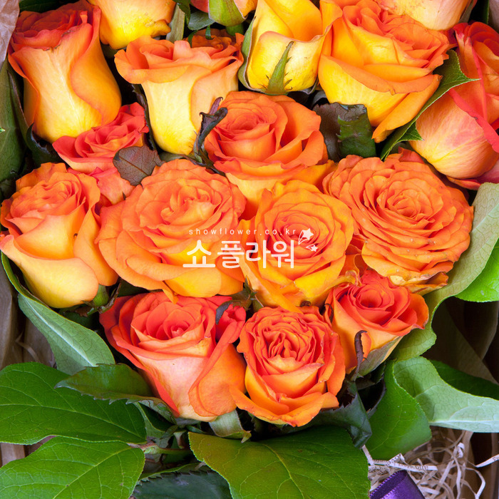 상세이미지