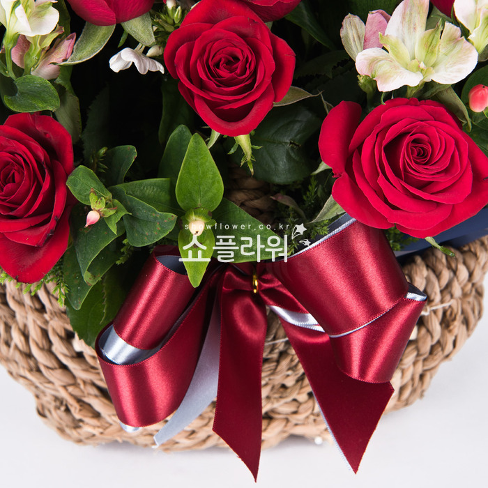 상세이미지