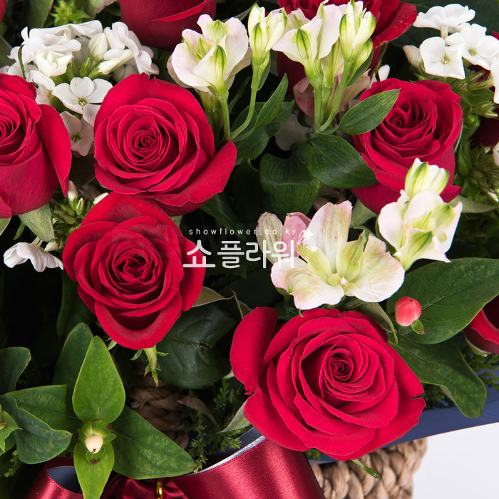 상세이미지