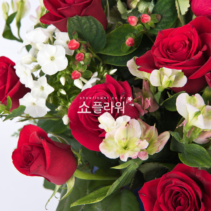 상세이미지