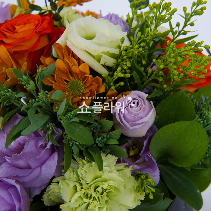 상세이미지