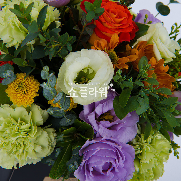 상세이미지
