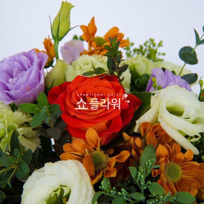 상세이미지