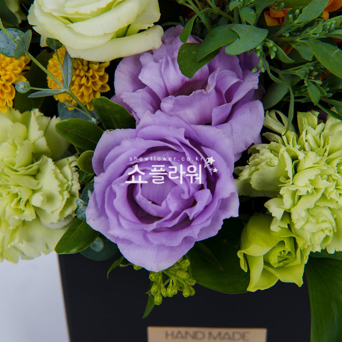 상세이미지