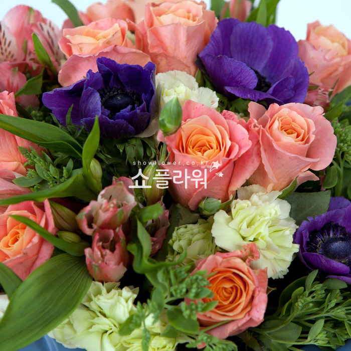 상세이미지