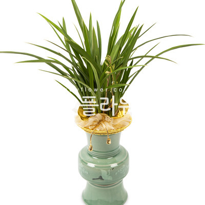 금침 투각분