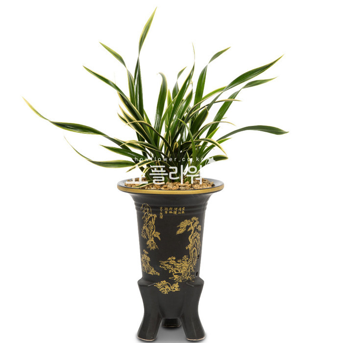 상세이미지