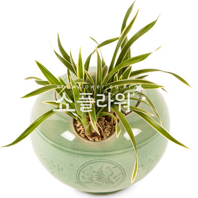 도자기난