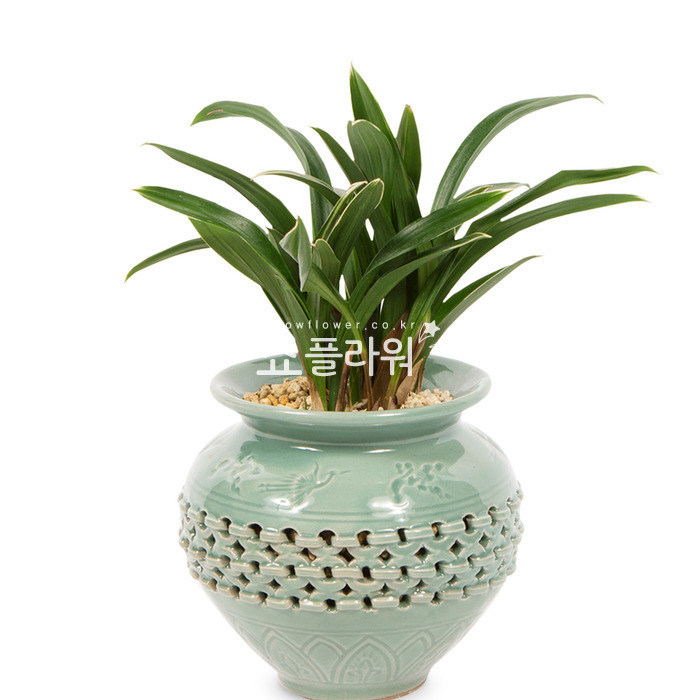 상세이미지