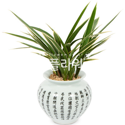 해란_일향3