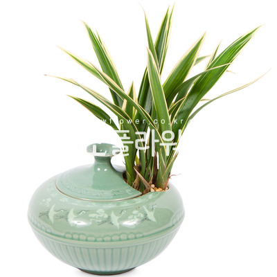 황용금 1022e