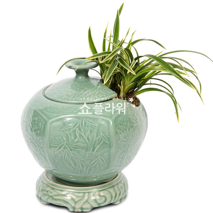상세이미지