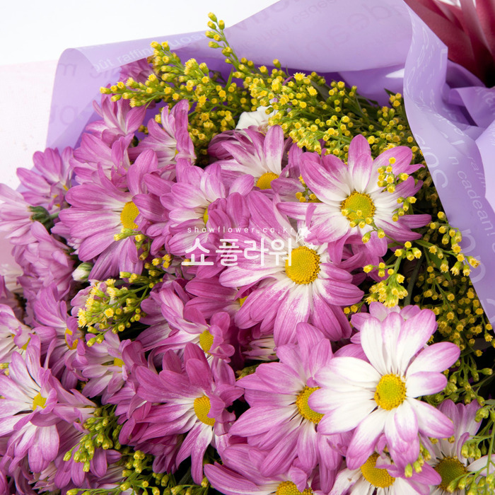 상세이미지
