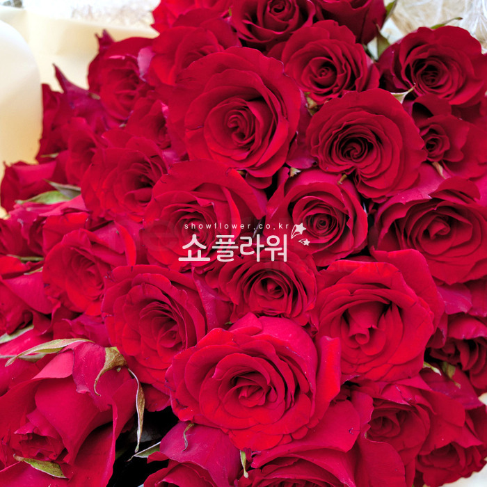 상세이미지