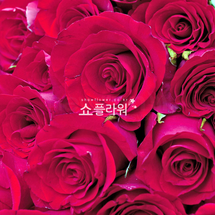 상세이미지