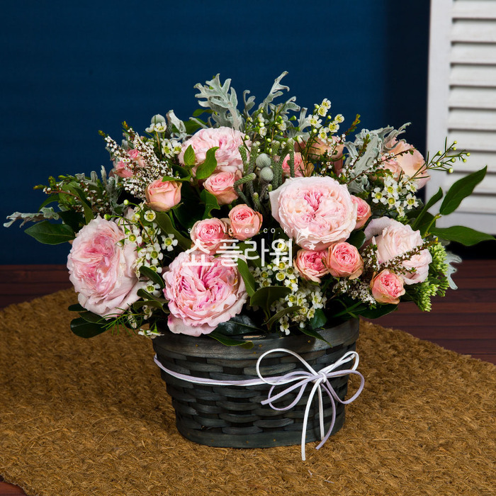 상세이미지