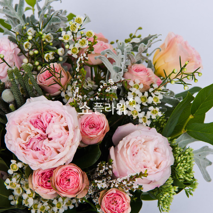 상세이미지