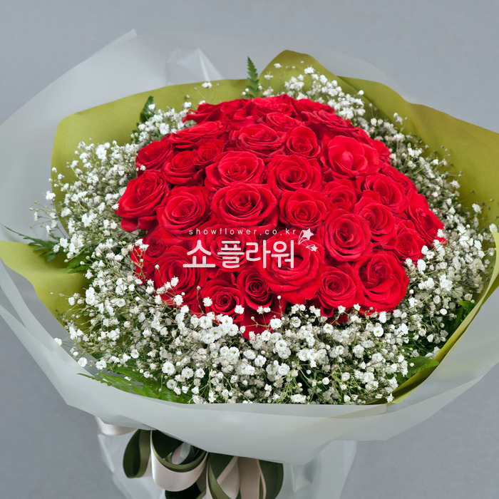 상세이미지