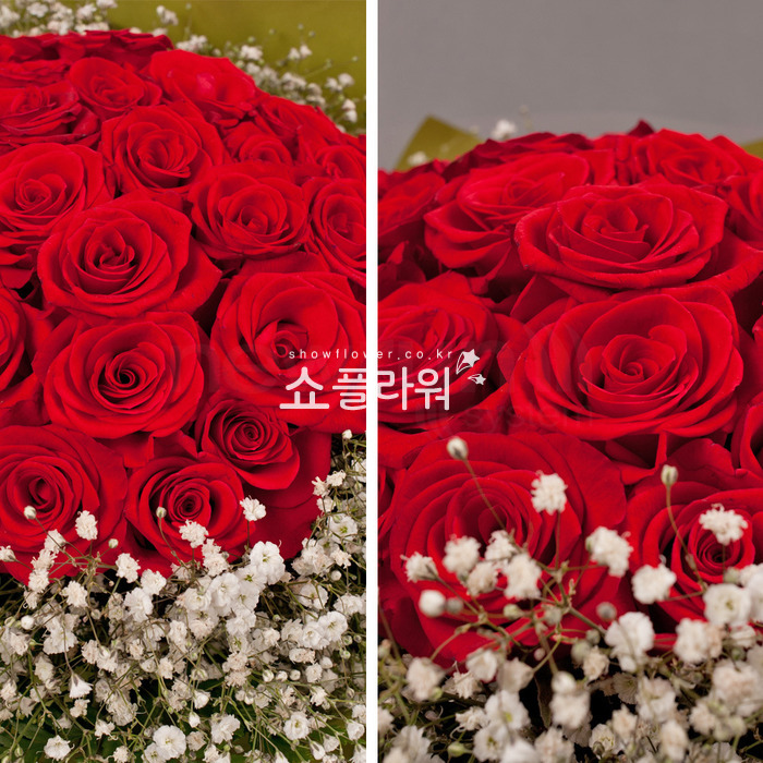 상세이미지