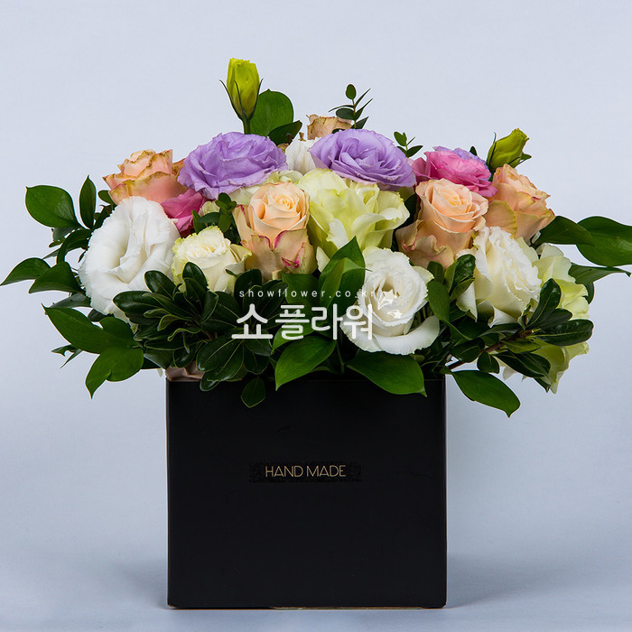 상세이미지