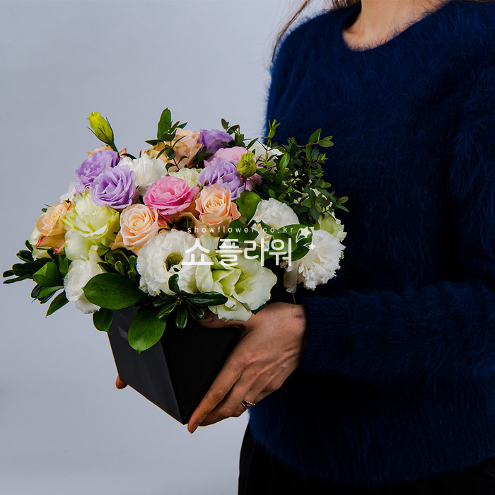 상세이미지