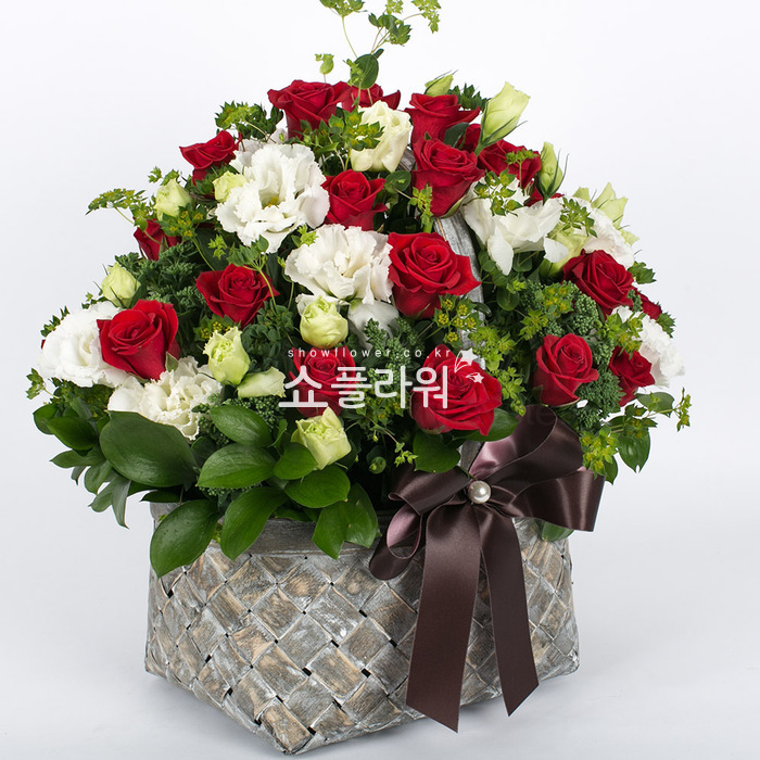 상세이미지