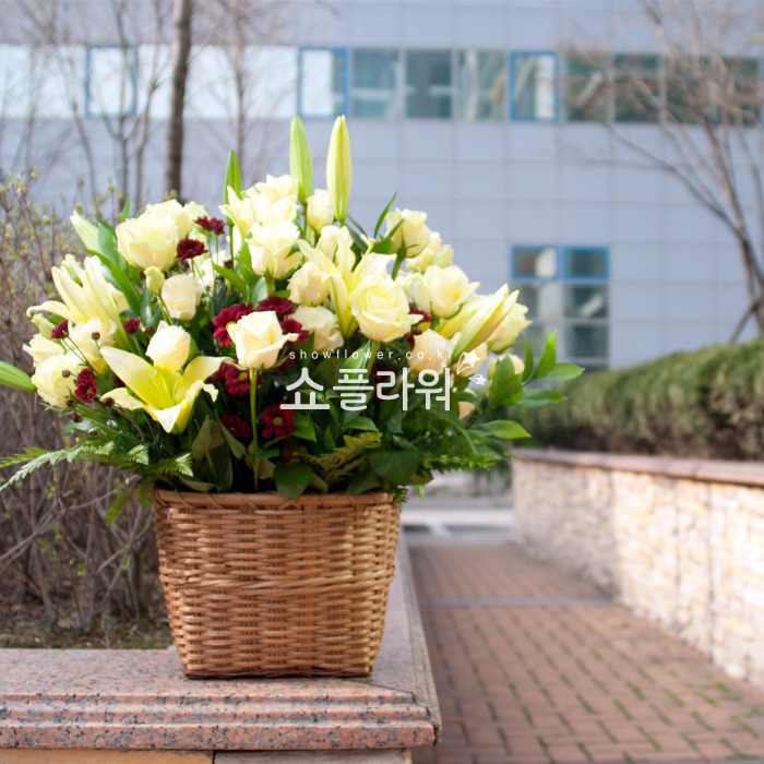 상세이미지