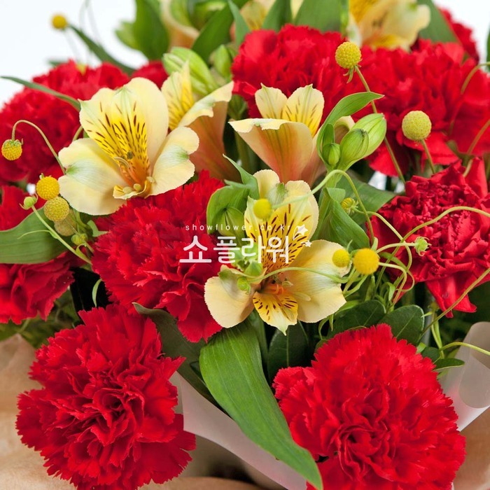 상세이미지