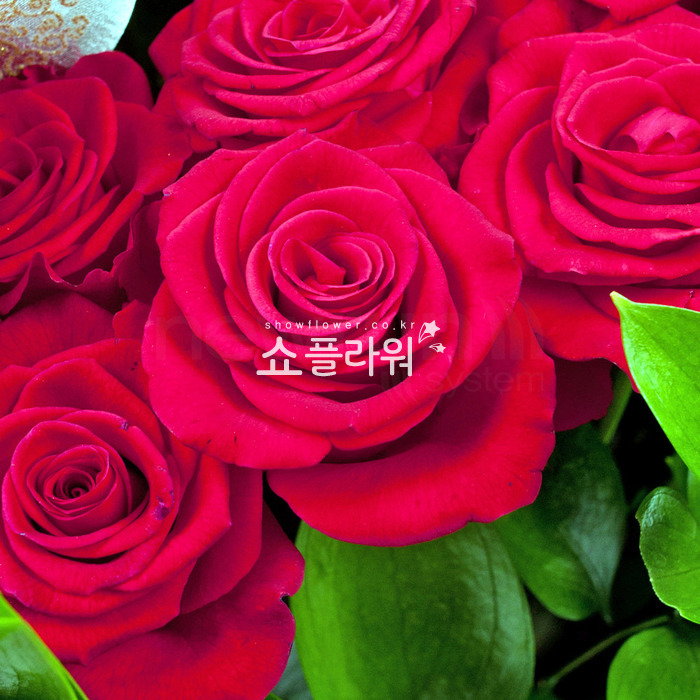 상세이미지