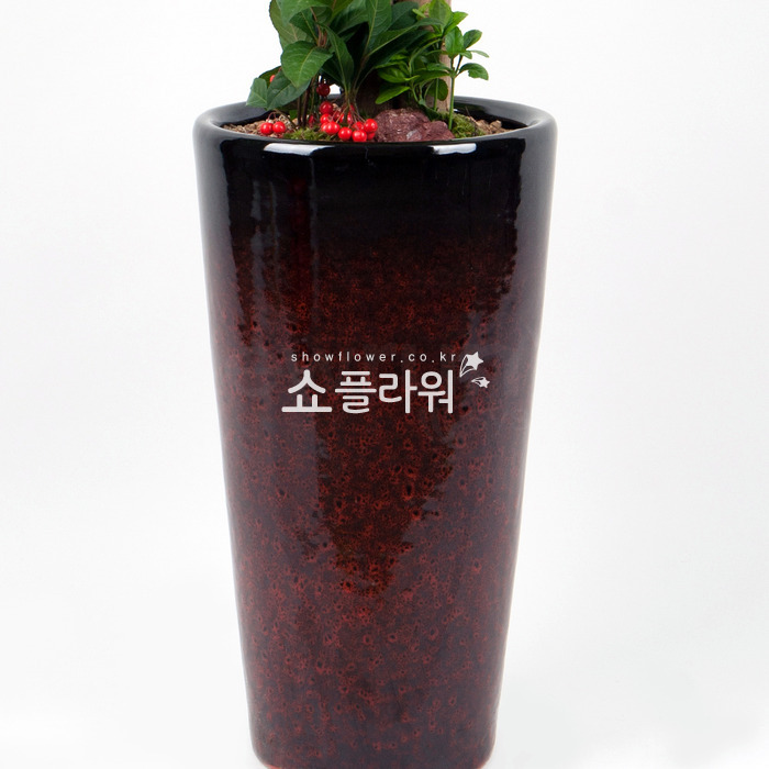 상세이미지