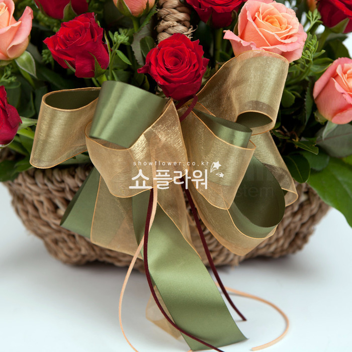상세이미지