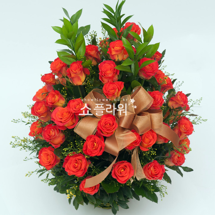 상세이미지