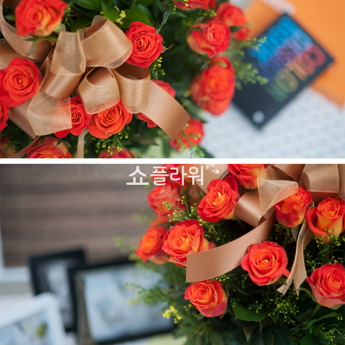 상세이미지