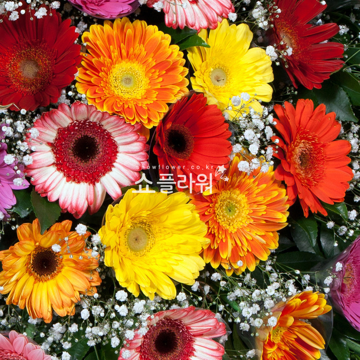 상세이미지