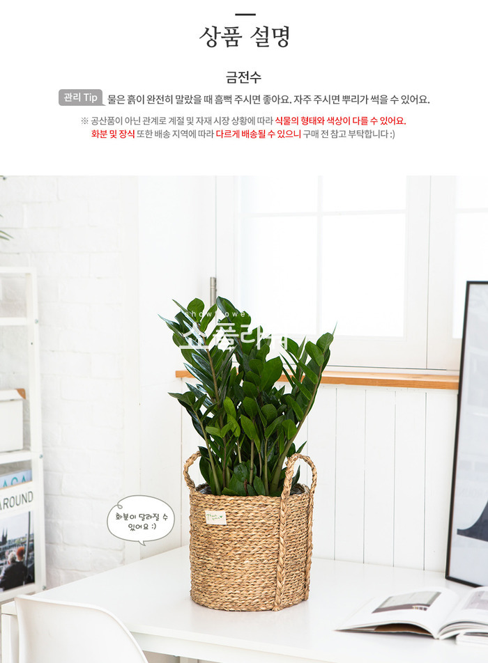 상세이미지