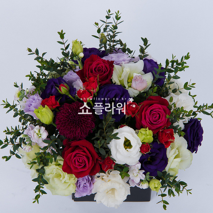 상세이미지