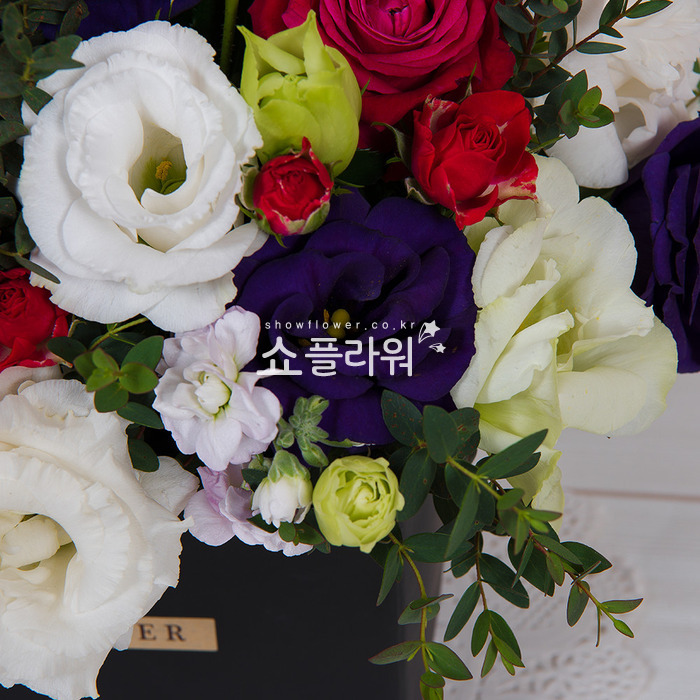 상세이미지