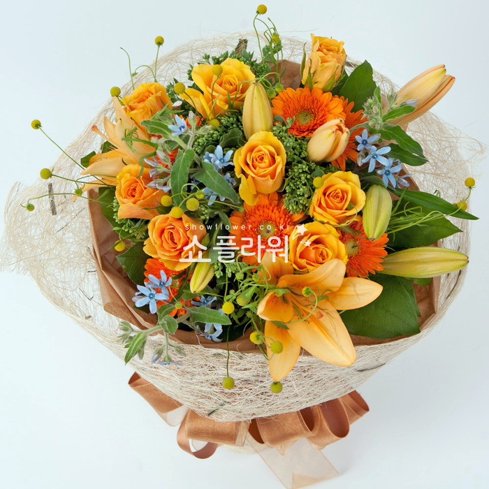 상세이미지